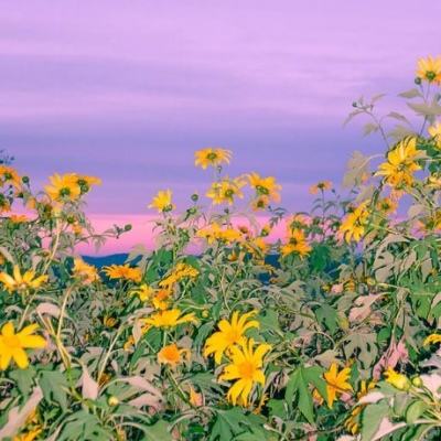 江南体育app官方入口