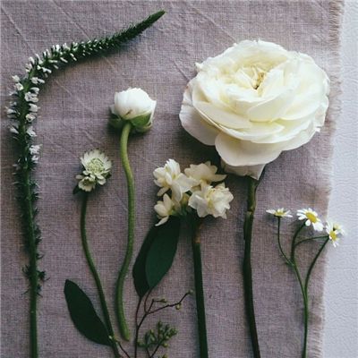 米乐app下载并安装