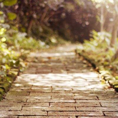 天博tb·体育综合